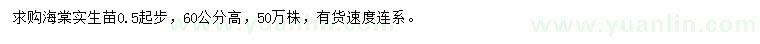 求購(gòu)高60公分海棠苗