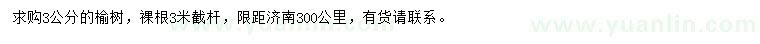 求購3公分榆樹