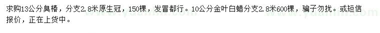 求購13公分臭椿、10公分金葉白蠟