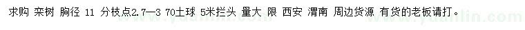 求購胸徑11公分欒樹