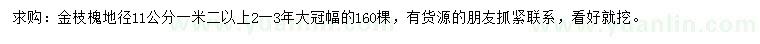 求購地徑11公分金枝槐