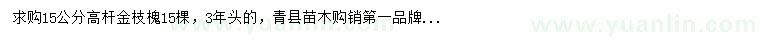 求購15公分金枝槐