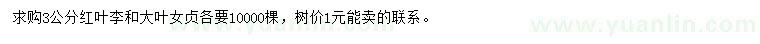 求購(gòu)3公分紅葉李、大葉女貞