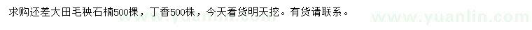 求購(gòu)毛秧石楠、丁香
