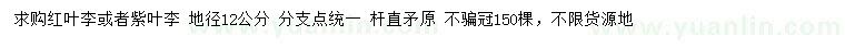 求購地徑12公分紅葉李或紫葉李