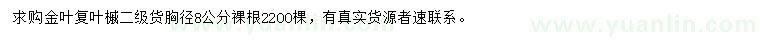求購胸徑8公分金葉復(fù)葉槭
