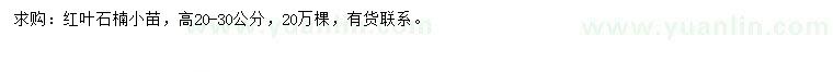 求購高20-30公分紅葉石楠