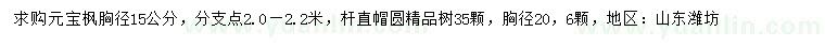 求購胸徑15公分元寶楓