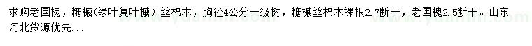 求購老國槐，糖槭、絲棉木