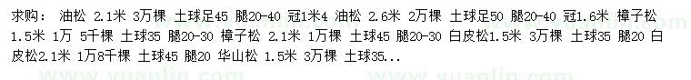 求購油松、樟子松、白皮松等