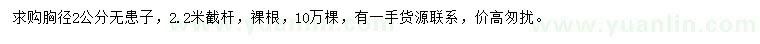 求購胸徑2公分無患子