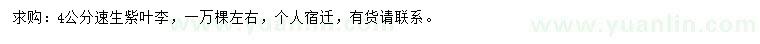 求購(gòu)4公分速生紫葉李