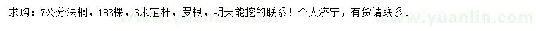 求購7公分法桐
