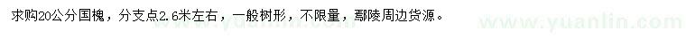 求購20公分國槐