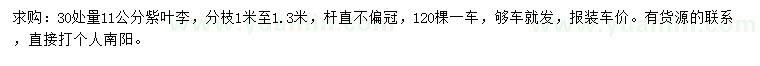 求購(gòu)30量11公分紫葉李