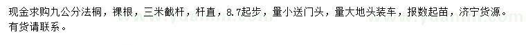求購9公分法桐