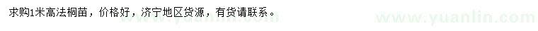 求購高1米法桐苗