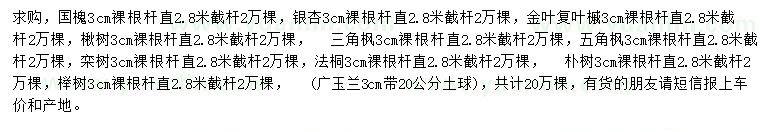 求購國槐、銀杏、金葉復(fù)葉槭等