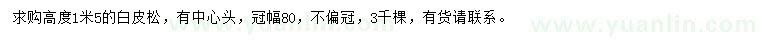 求購高1.5米白皮松