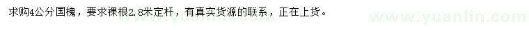 求購4公分國槐