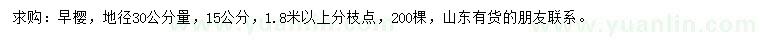 求購地徑30公分量15公分早櫻