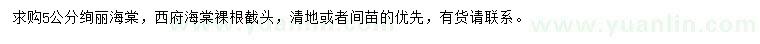 求購5公分絢麗海棠、西府海棠