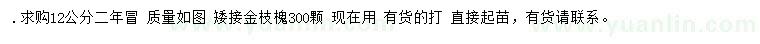求購12公分金枝槐