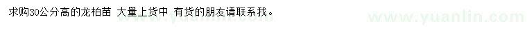 求購高30公分龍柏苗