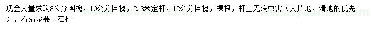 求購8、10、12公分國槐