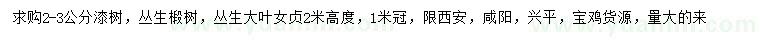 求購漆樹、叢生椴樹、叢生大葉女貞