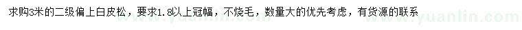 求購3米白皮松