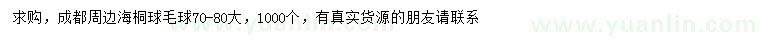 求購(gòu)70-80公分海桐球