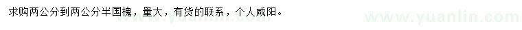 求購(gòu)2-2.5公分國(guó)槐
