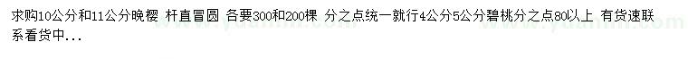 求購10、11公分晚櫻