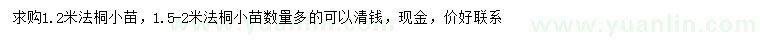 求購1.2、1.5-2米法桐小苗