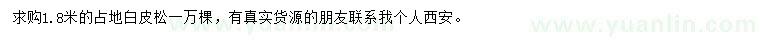 求購1.8米白皮松