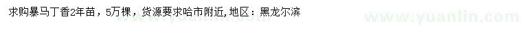 求購暴馬丁香