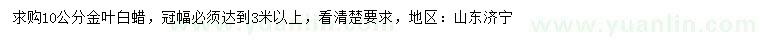 求購10公分金葉白蠟