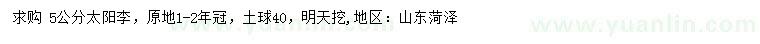 求購5公分太陽李