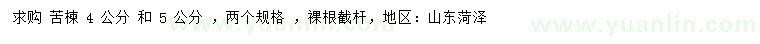 求購(gòu)4、5公分苦楝