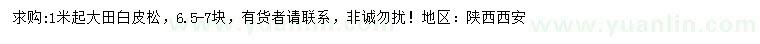 求購(gòu)1米起白皮松