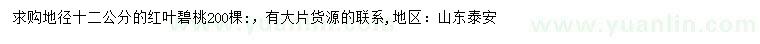 求購(gòu)地徑12公分紅葉碧桃