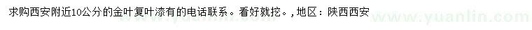 求購(gòu)10公分金葉復(fù)葉槭