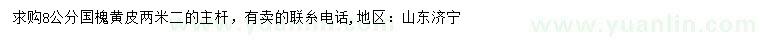 求購8公分國槐