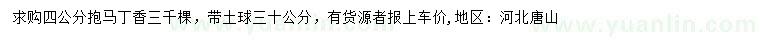 求購4公分暴馬丁香