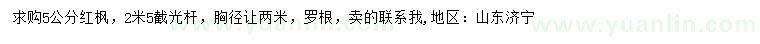 求購5公分紅楓