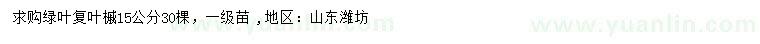 求購15公分綠葉復(fù)葉槭