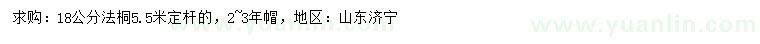 求購(gòu)18公分法桐