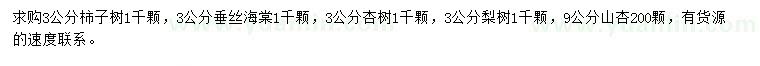 求購柿子樹、垂絲海棠、杏樹等