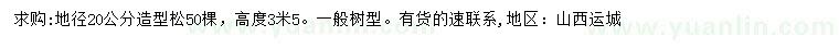 求購地徑20公分造型松